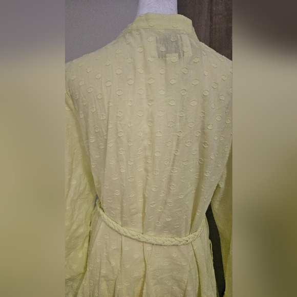 THE SHIRT by ROCHELLE BEHRENS The Jenica Dress In Yellow. Size L NWT - Picture 13 of 16